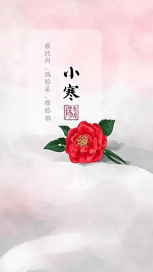 小寒节气祝福语精选，唯美特别暖心的问候句子大全，新年祝你快乐