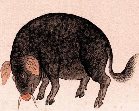 中国妖怪大全(珍藏版)