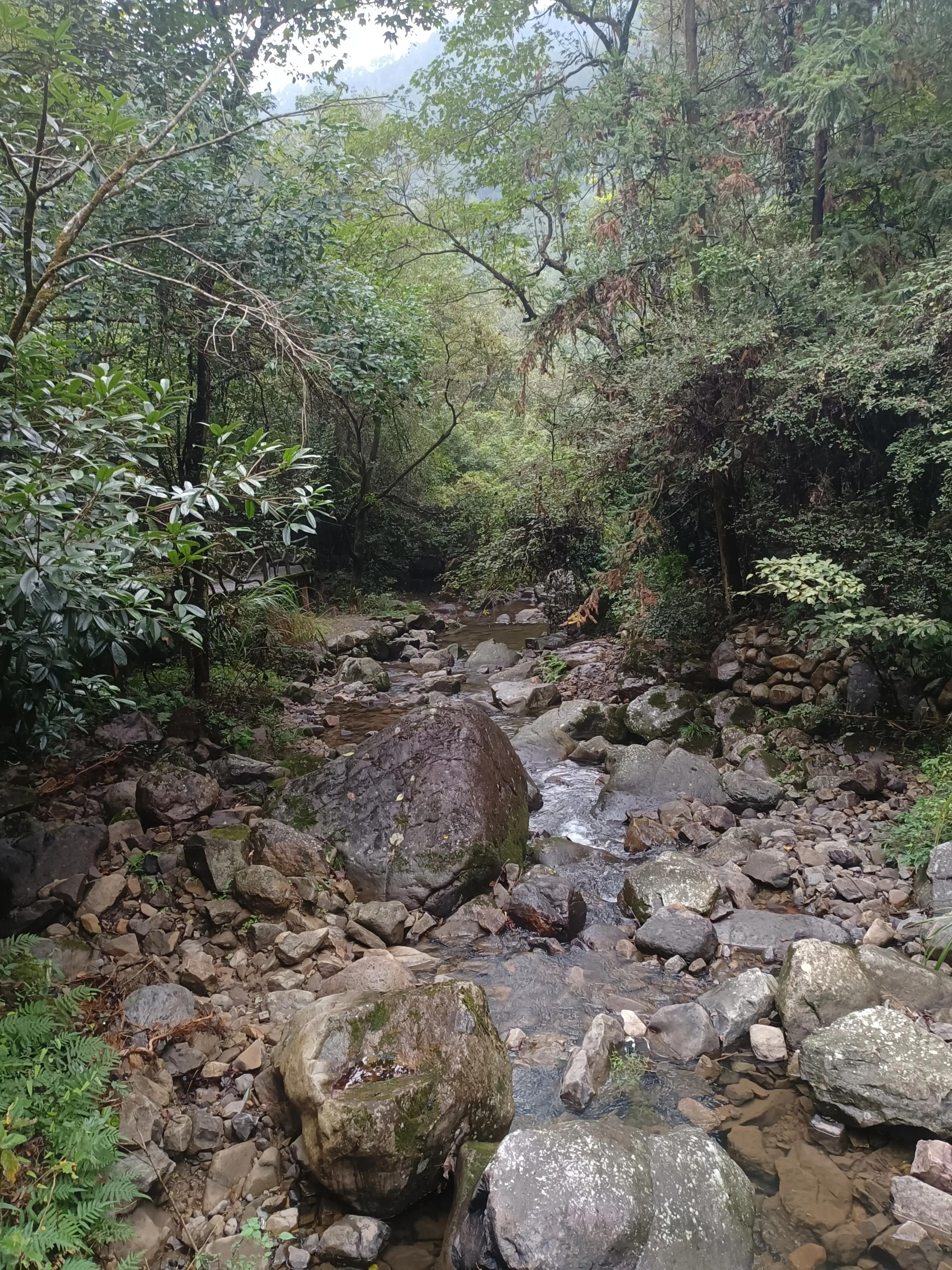 行到水穷处，坐看云起时一一雨游白云山