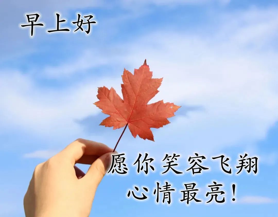 周四早上好祝福语录送朋友暖心句子,最美早上好祝福文字图片