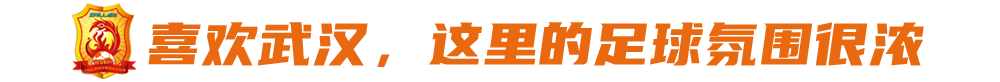 李金羽谈中国足球（李金羽：足球给了我比较辉煌的前半生，哪怕吃苦受罪也会不离不弃）