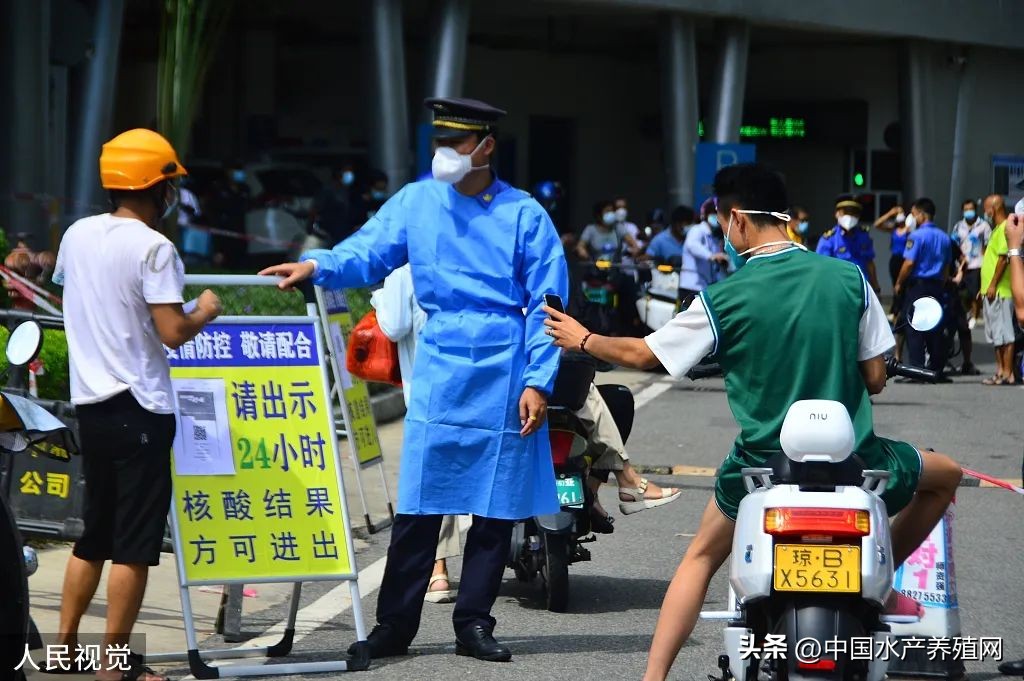 黑鱼价格2022年市场价（今日黑鱼价格行情）-第2张图片-华展网