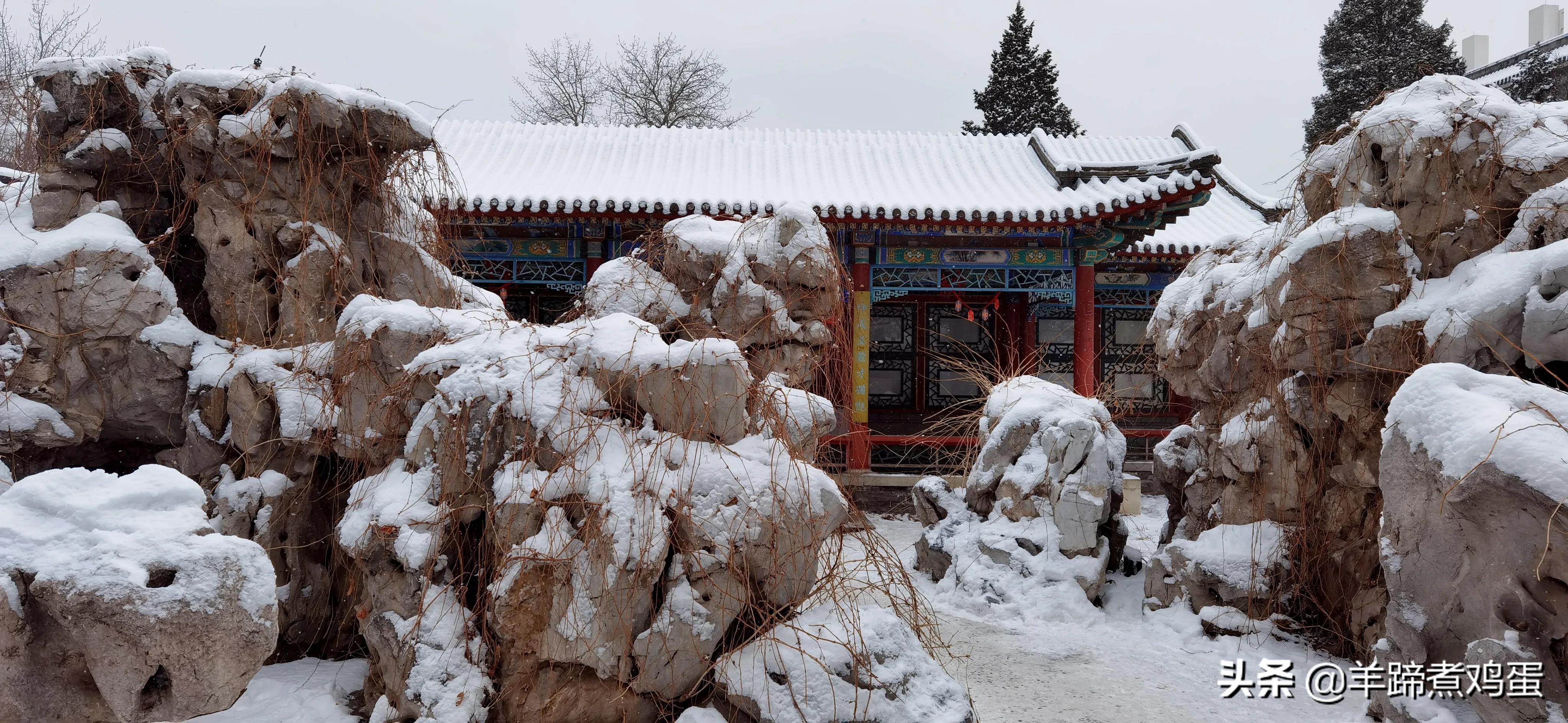 难览观园全画景雪覆腊梅一隅香——踏雪寻游北京大观园