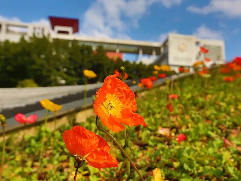 最新！教育部印发通知，西南政法大学新增2个本科专业！