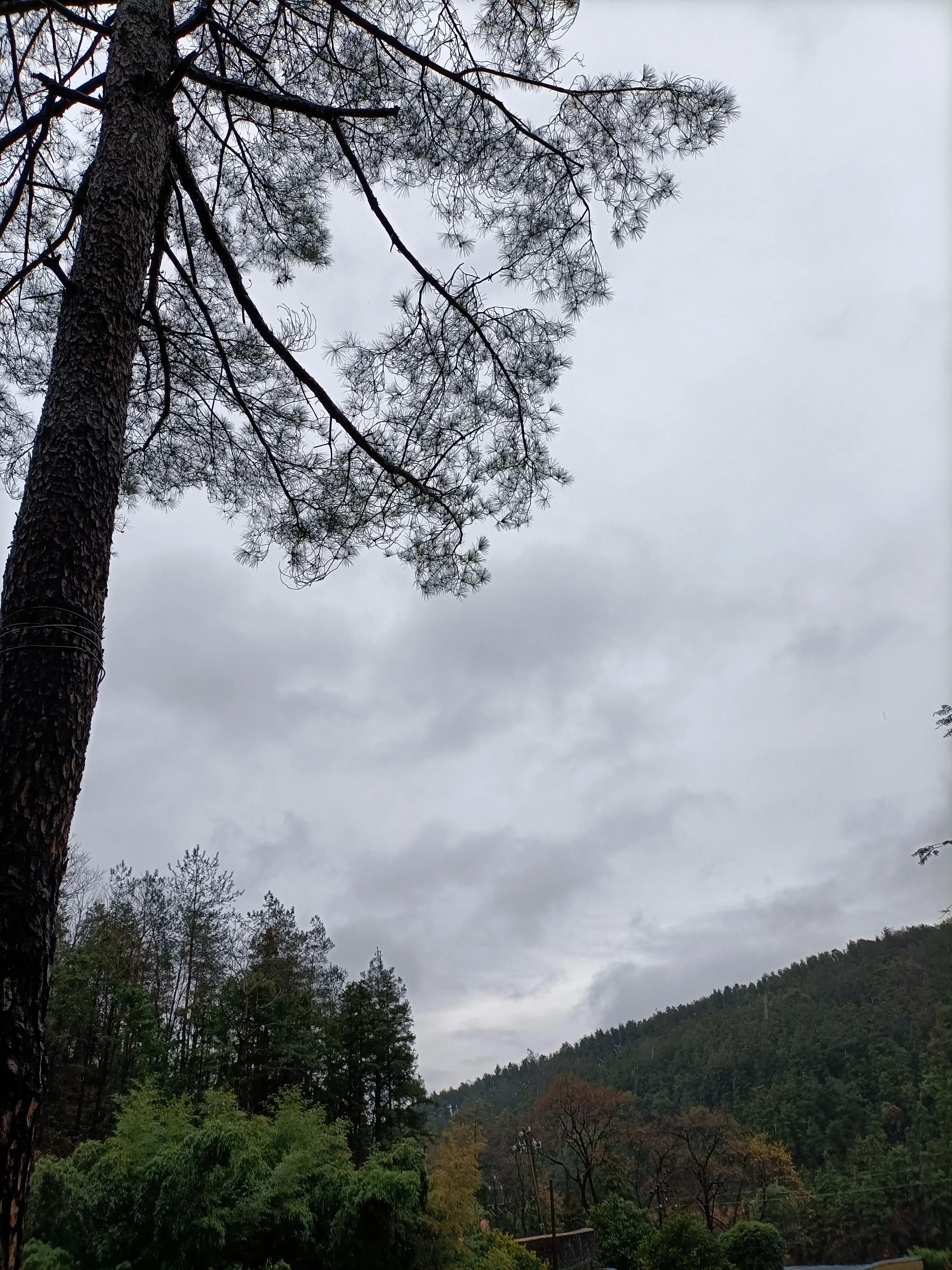 天天下雨心情都不好了