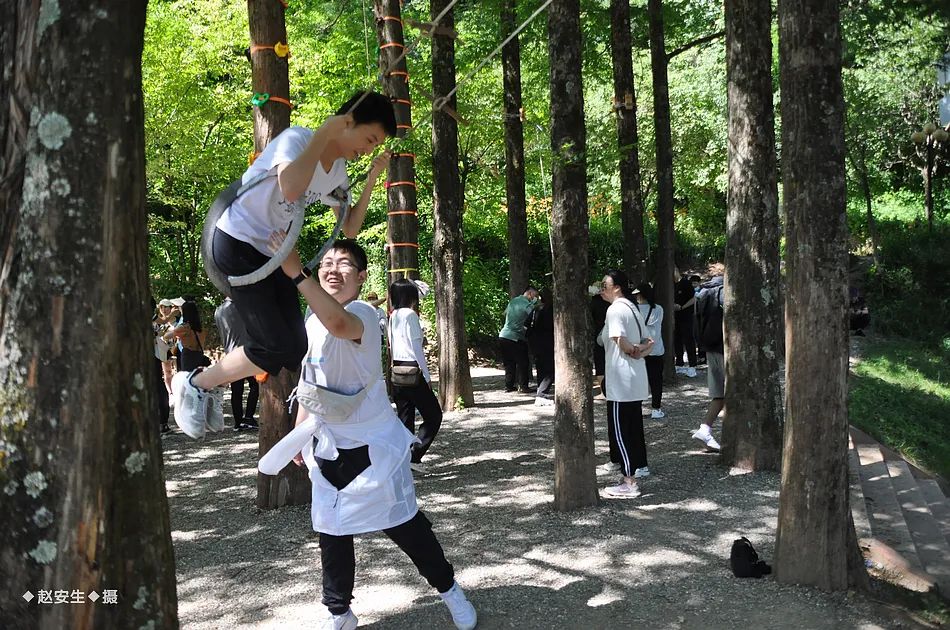 因麥積山而來 留植物園忘返！麥積山植物園帶你體驗叢林探險的樂趣