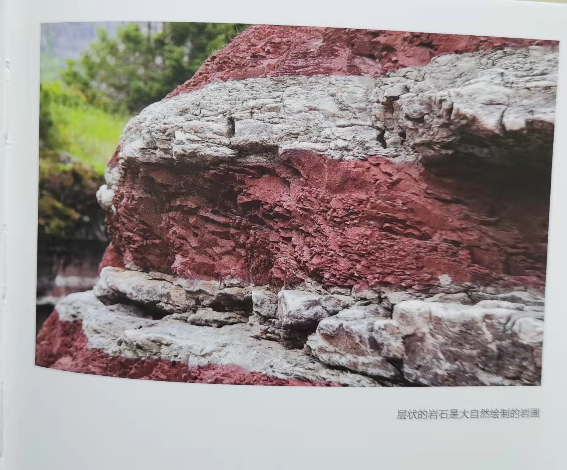 谁说只有文科生可以谈文明？理科生一样行