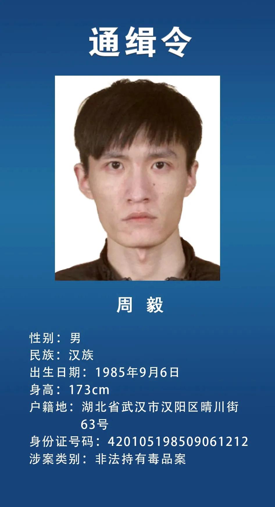 网上通缉犯,网上通缉犯怎么查