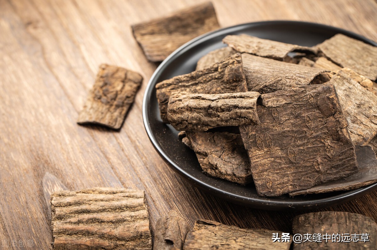 人还未老，腰已先老？四味中药，阴阳双补，送给腰酸背痛的你
