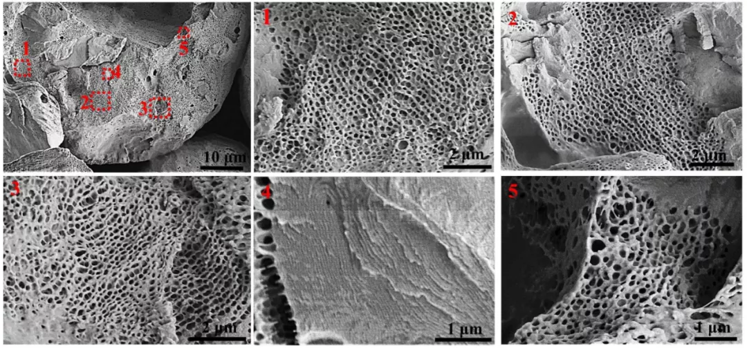 天津大学研发复杂光子结构的高效制备策略，有望作为环保光子颜料