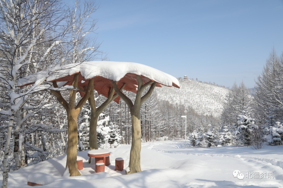 美图！三月春雪添诗意 玉树琼瑶美“出圈”