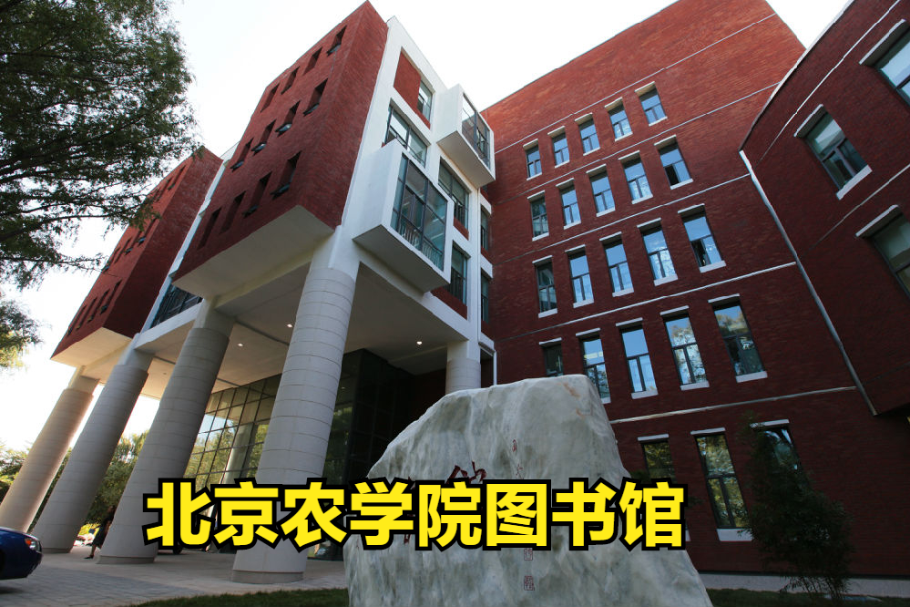 北京上海公办本科院校美术类最低录取线！上海商学院PK北京农学院