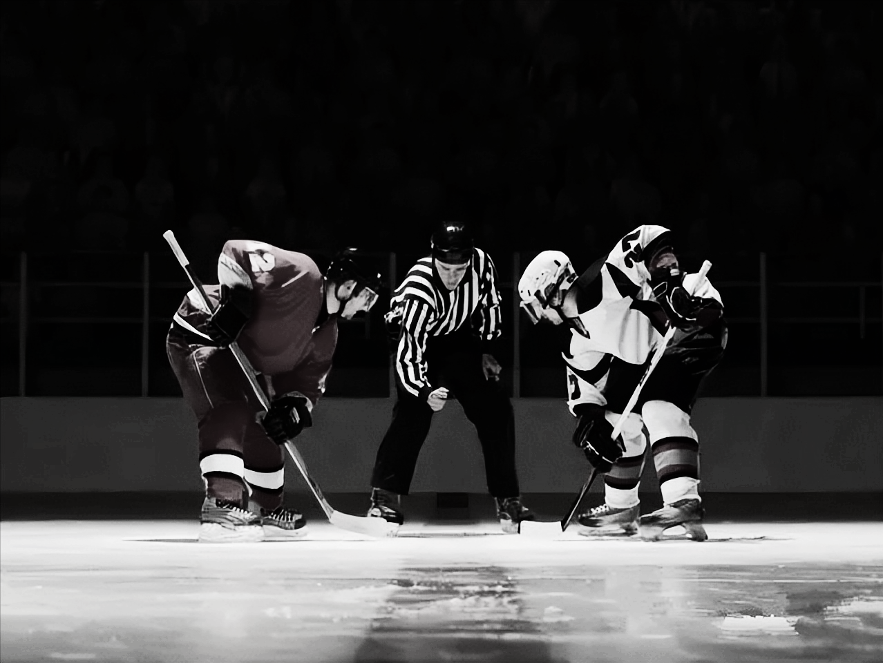 美国nba的球场有哪些（北美四大职业体育联盟·棒球）