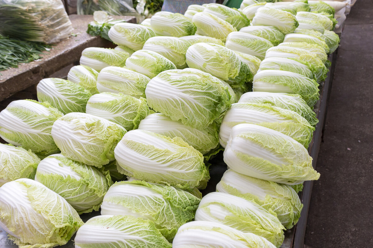 白菜怎么做好吃 白菜炖豆腐的做法-百联百科