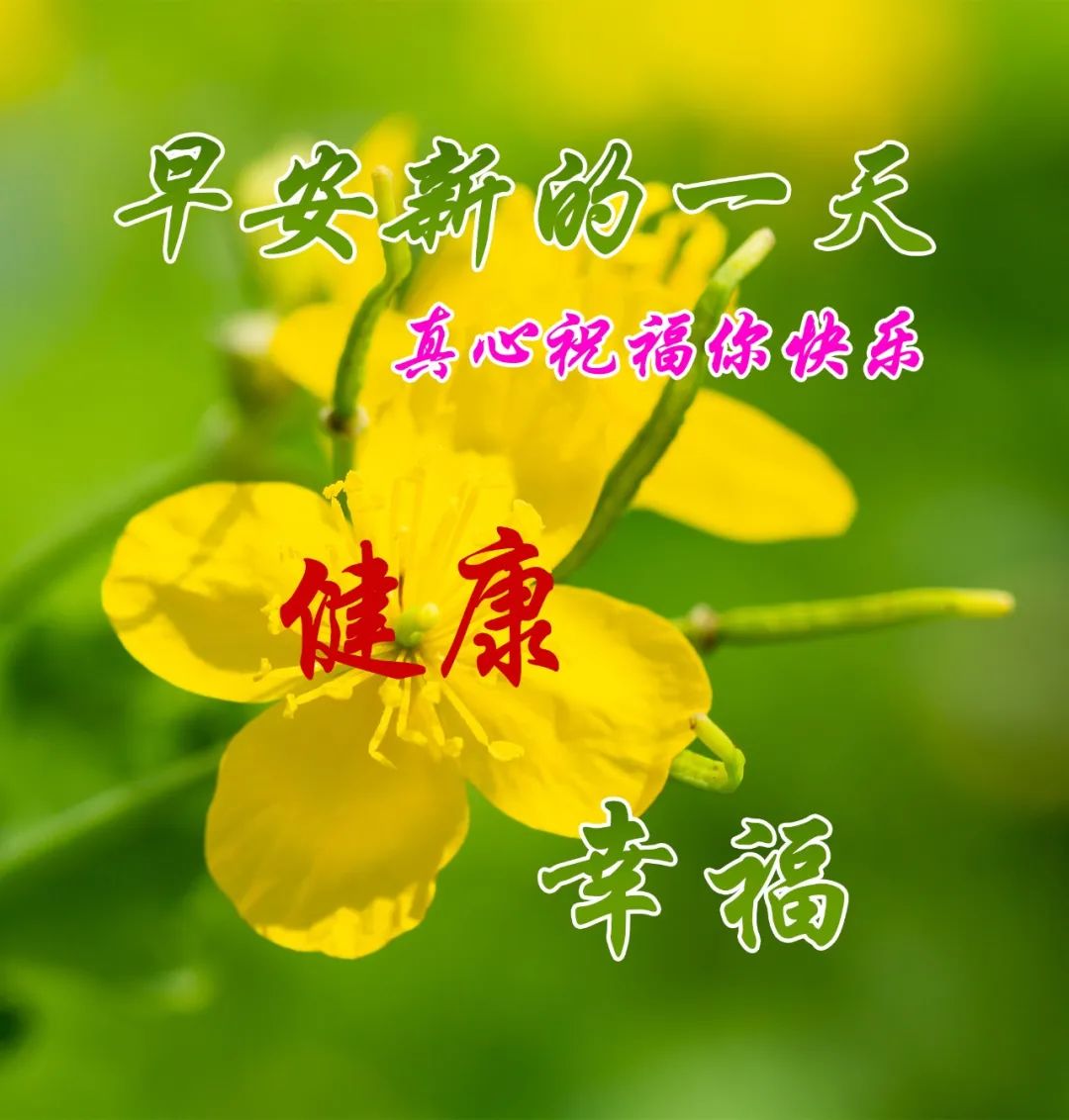 送你健康平安吉祥!愿你的每一天都充满幸福,好运连连