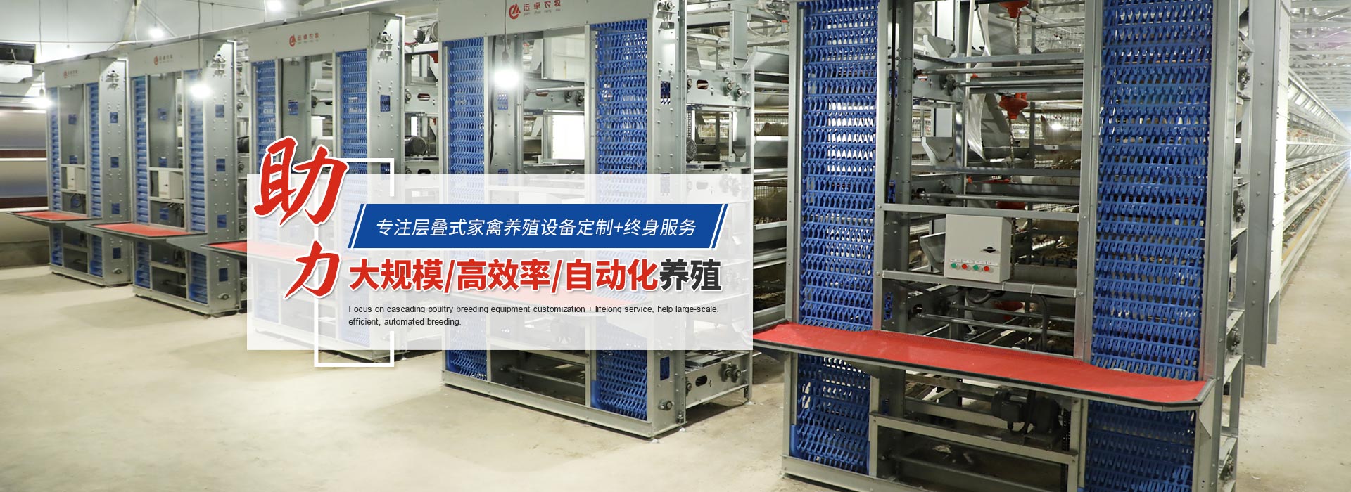 杀菌效果才最好？远卓农牧手把手教你“带鸡消毒”如何操作，