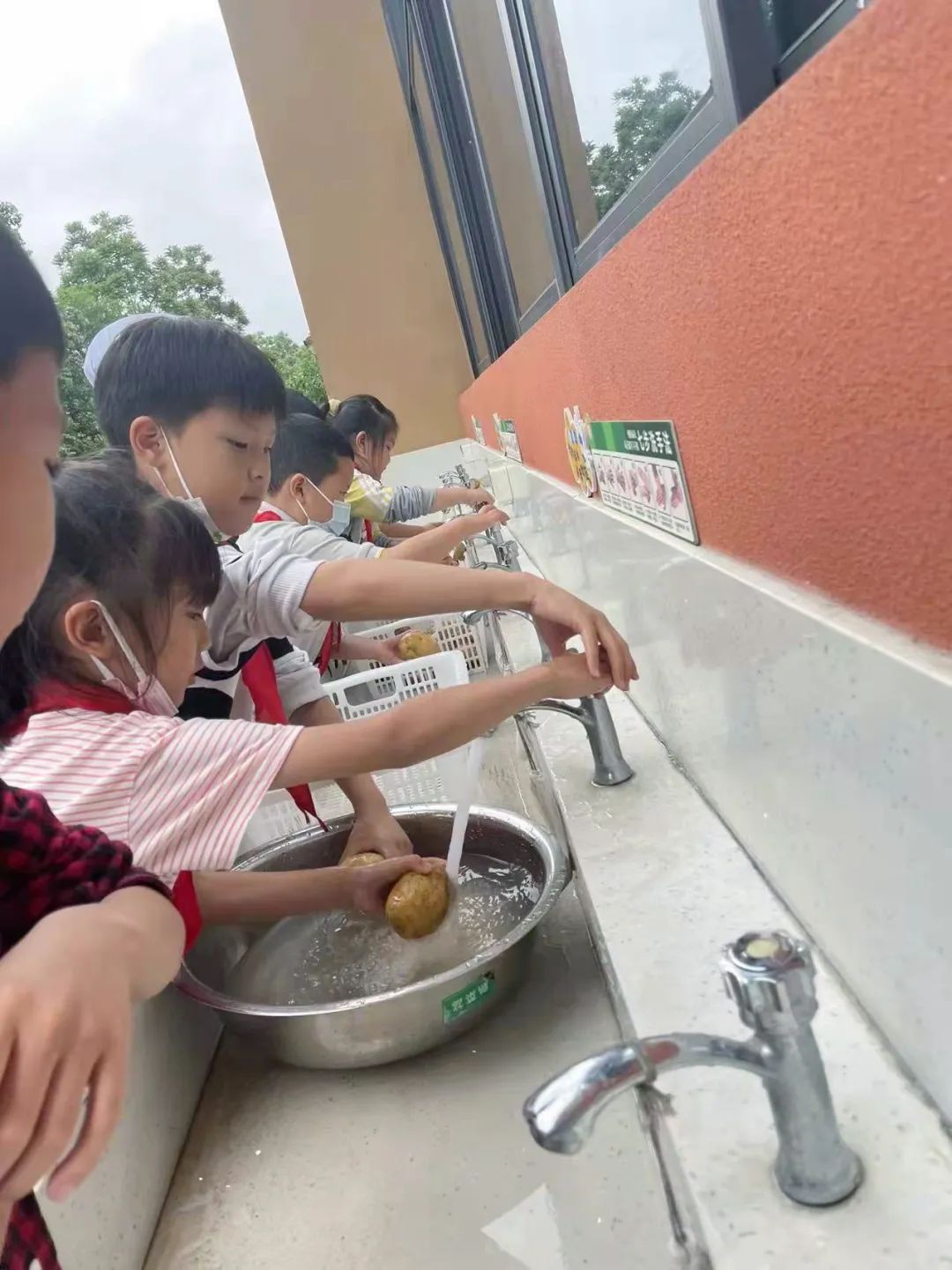 劳动之底色 幸福之源泉｜记双流区实验小学外国语学校劳动系列课程