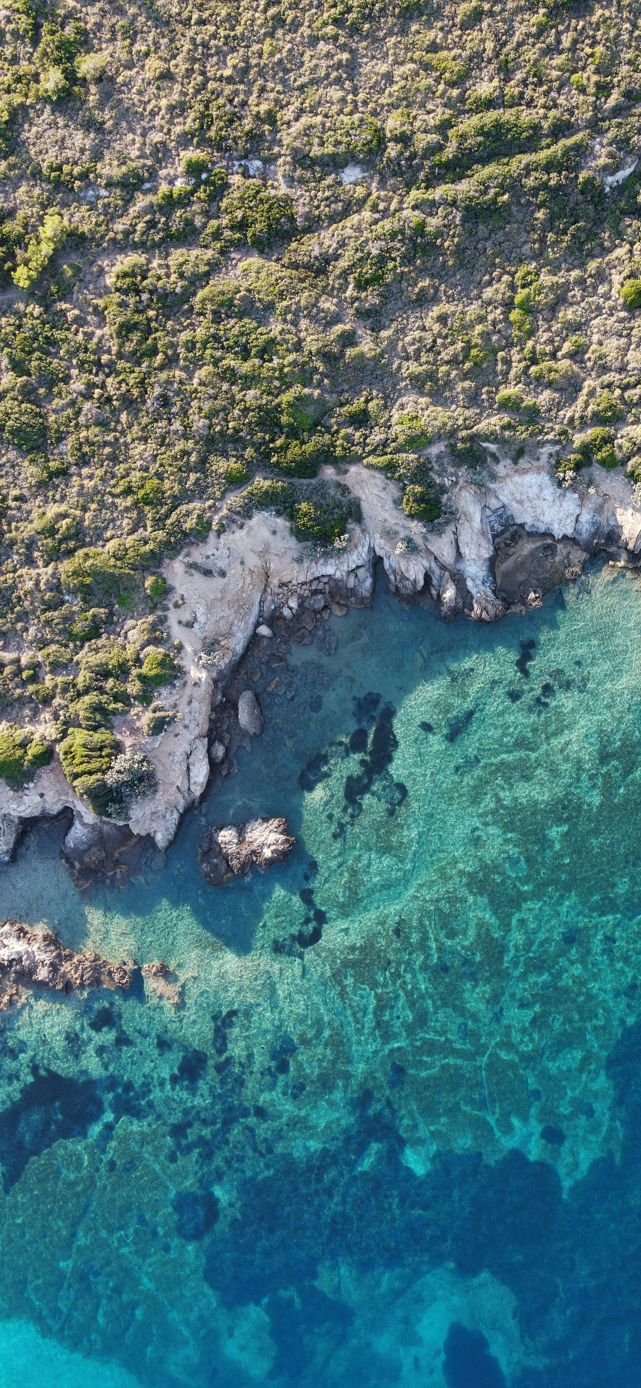 iphone13及14promax绿色海湾系列手机壁纸