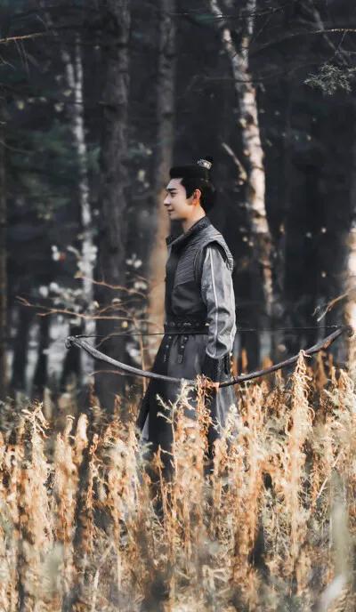 论刘亦菲和陈星旭适配度