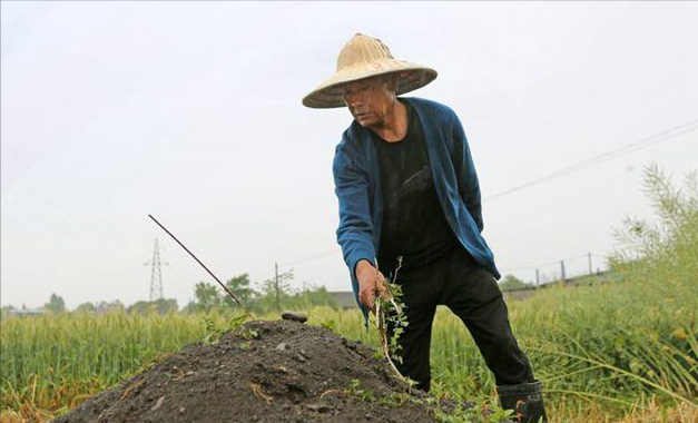 成都侦探公司招聘（14年前背亡妻回家感动国人）