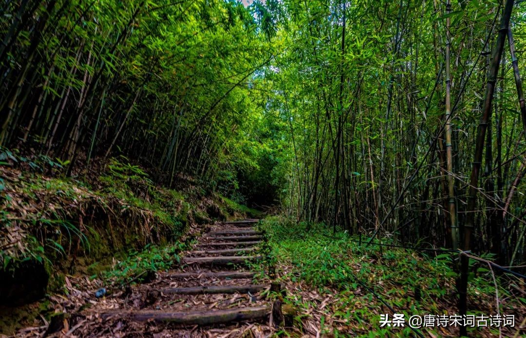 此时虽无声，但日月有声，风儿有声，花开花落皆有声