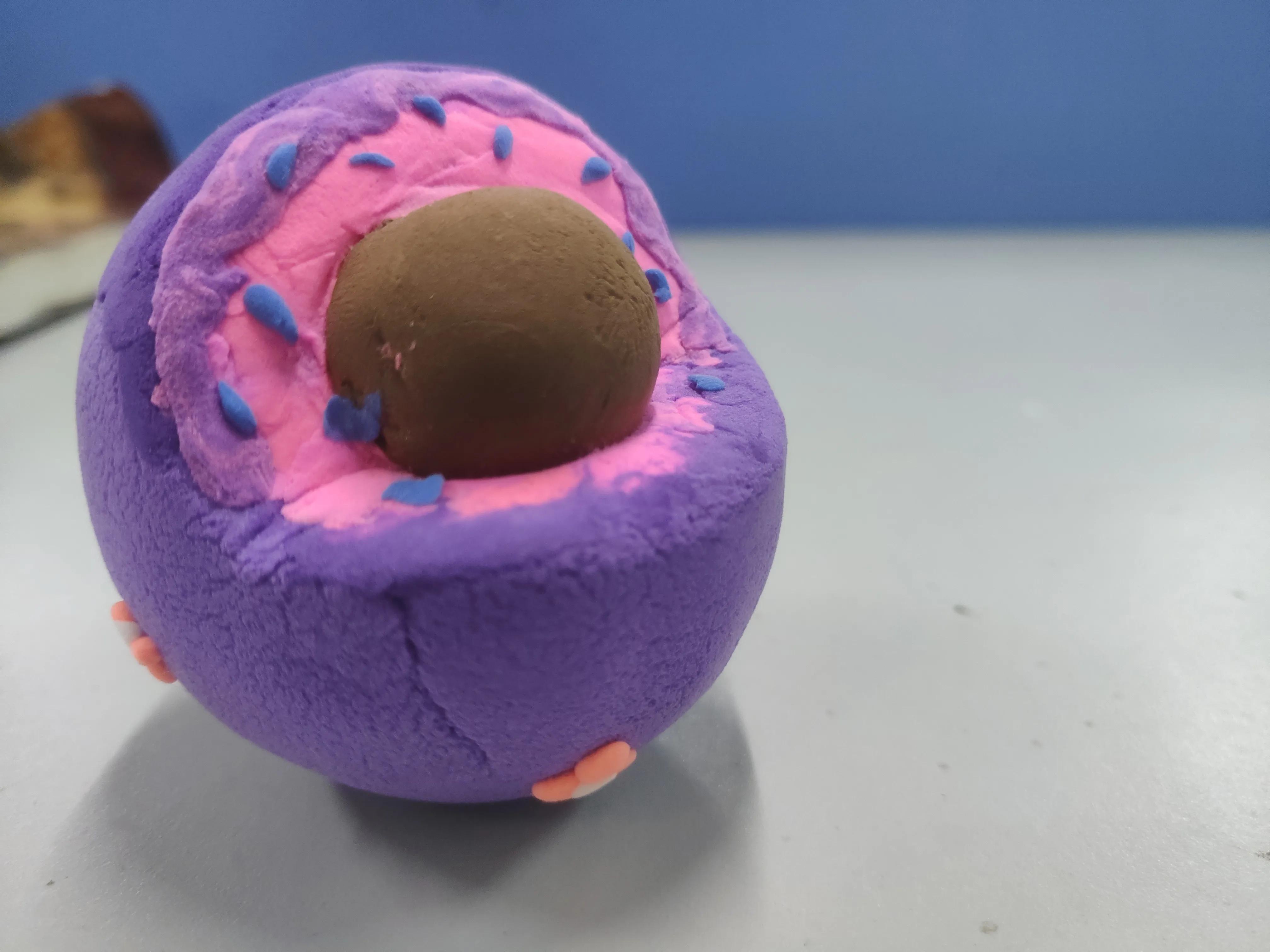 生物模型手工制作 废物利用制作生物模型 - 汽车时代网