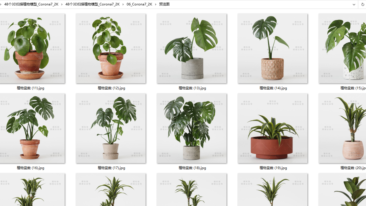 高质量3D植物库下载