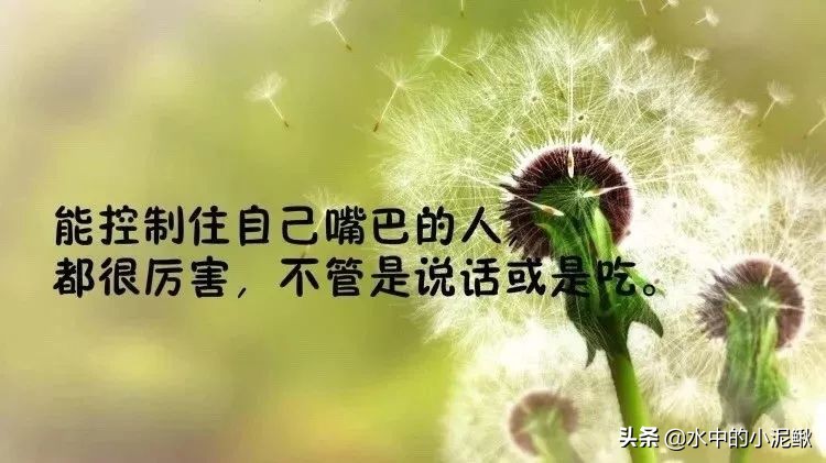 最新早安心语唯美语录句子精选，最新早安语录句子，新的开始