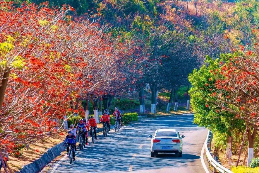 喜欢了！在这座无人在意的五线城市，实现了水果自由、鲜花自由