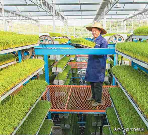 德媒：德国可从中国农业学到什么，一大趋势让欧洲农民特别羡慕