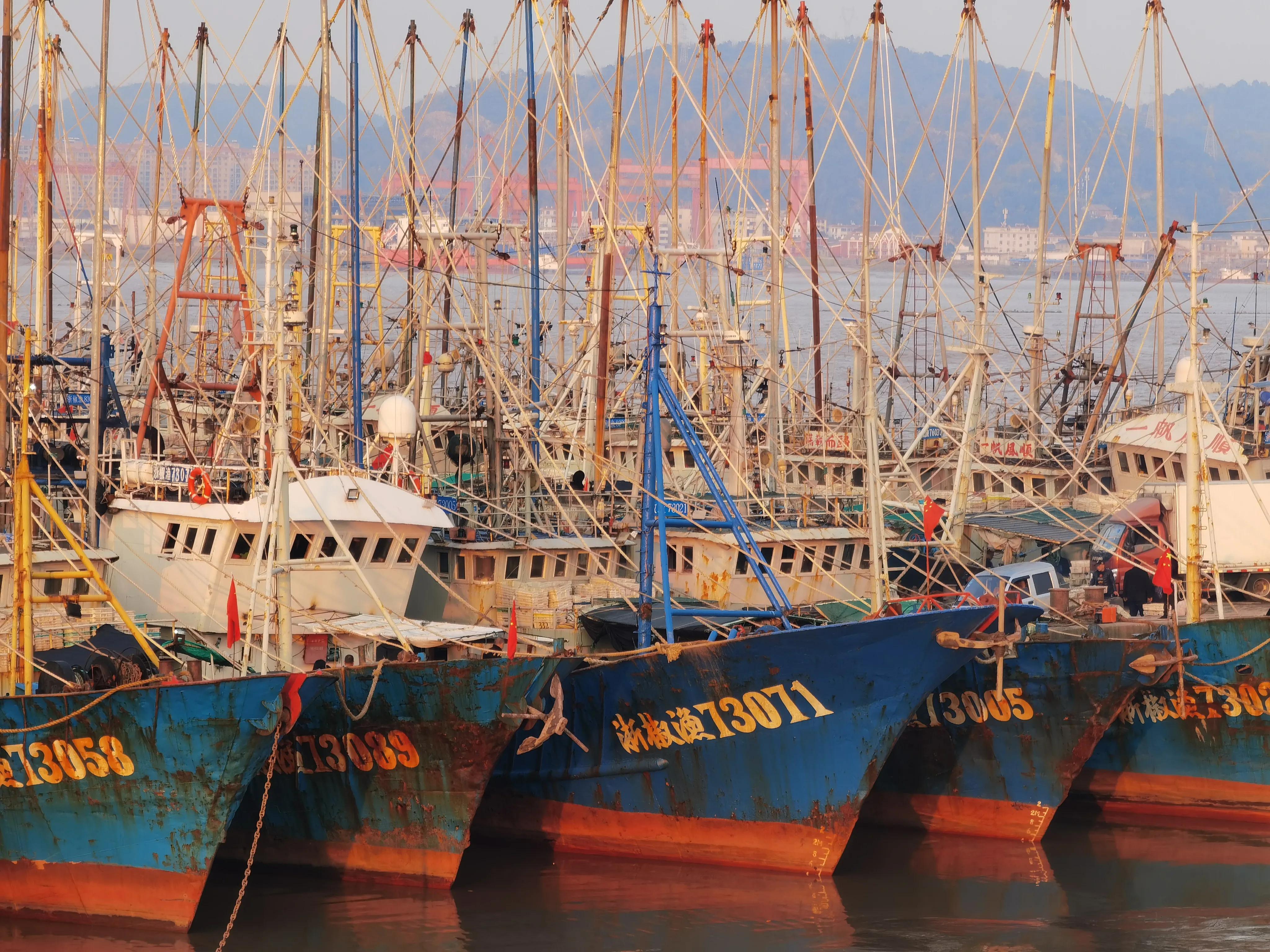 搞海洋捕鱼很赚钱吗海上捕鱼赚钱吗