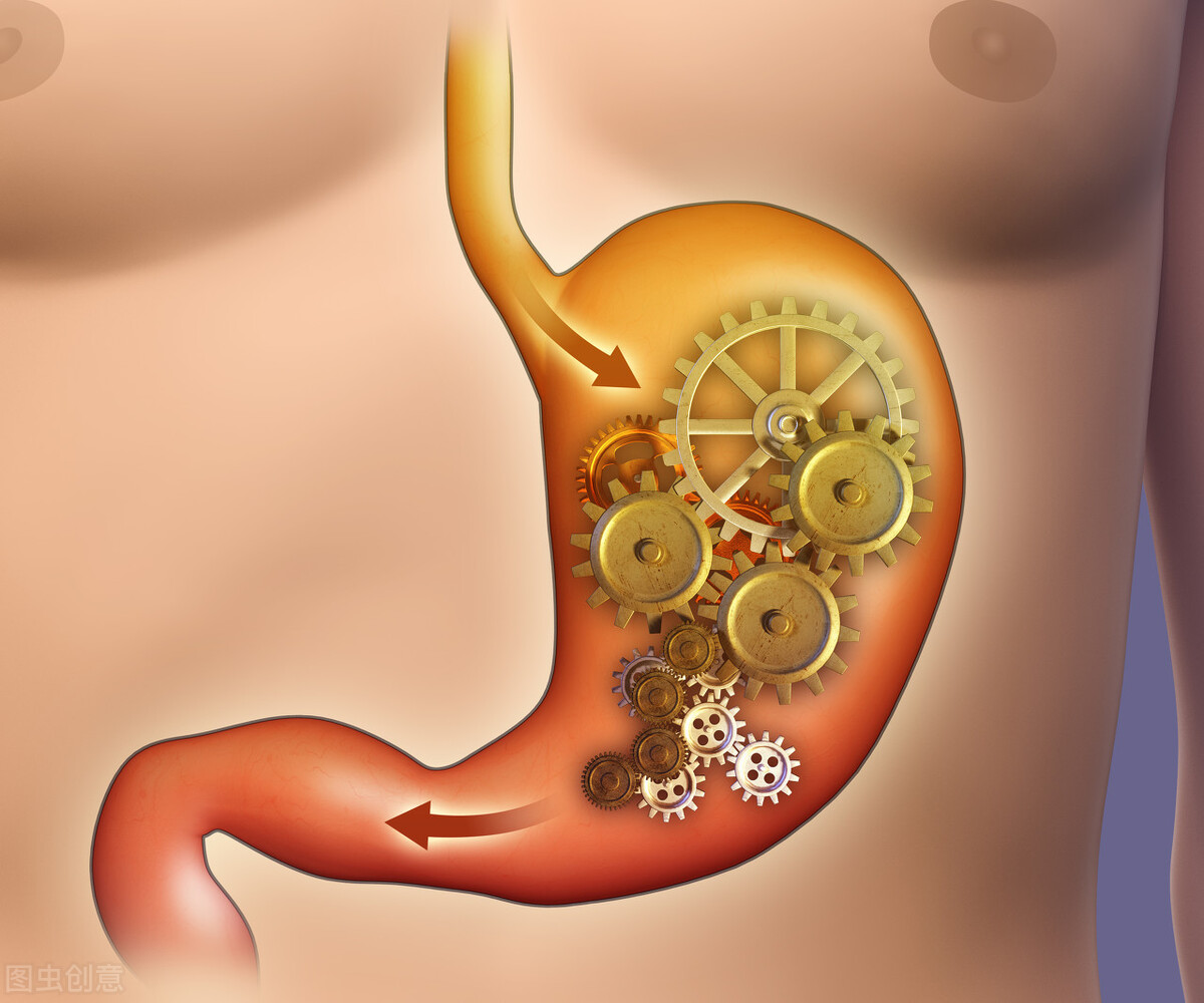 胃肠神经官能症吃什么药，胃神经官能症怎么调理