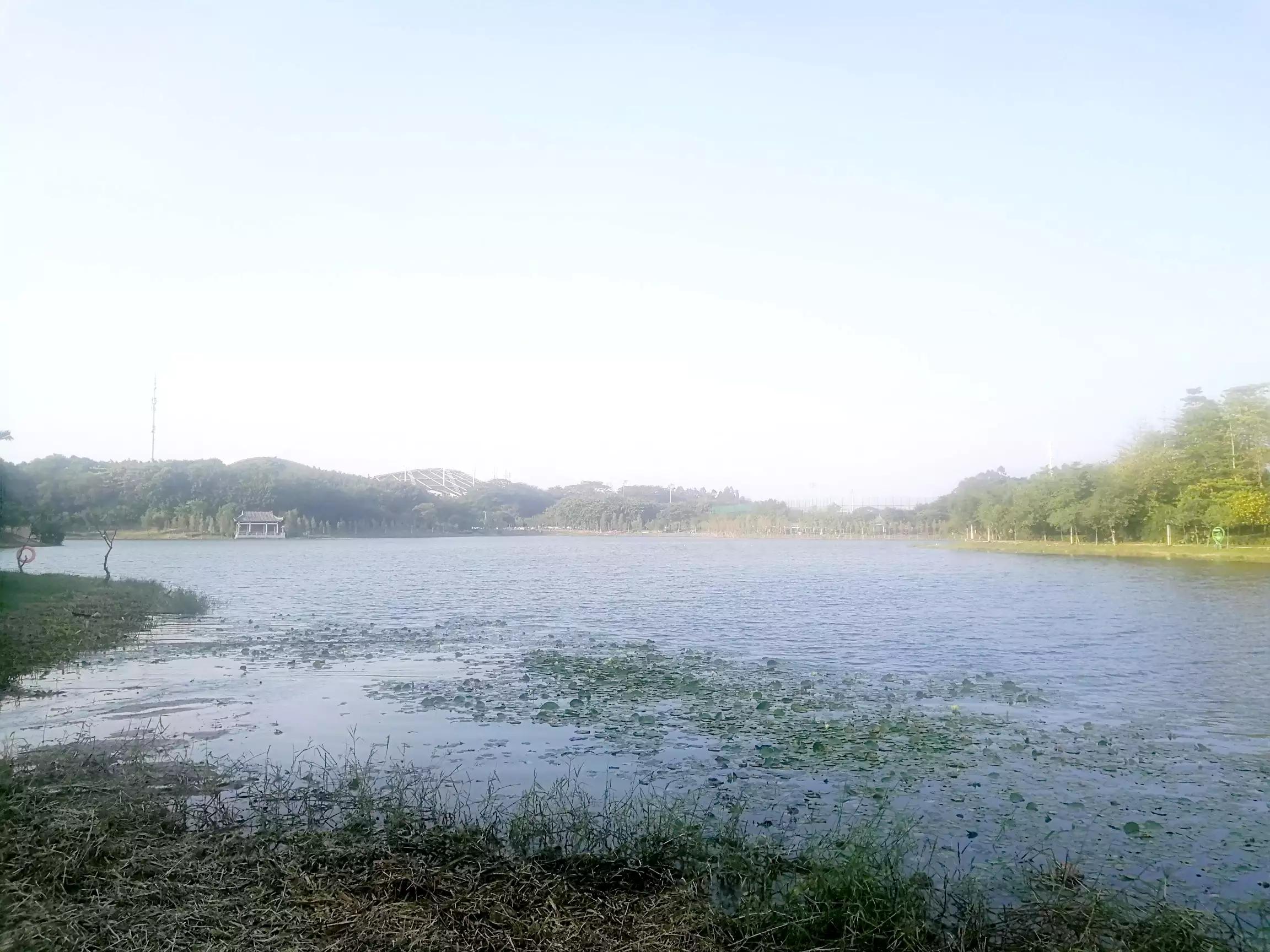 地铁4号线广州大学城一日游，带你体验不一样的大学城风景（A篇）