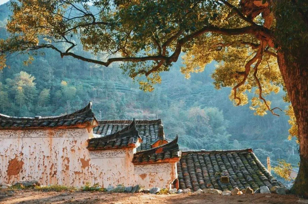 生活在浙江到底有多爽？