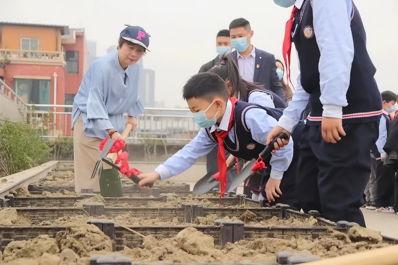 中和小学参加区教育发展中心综合实践教学设计比赛并喜获一等奖