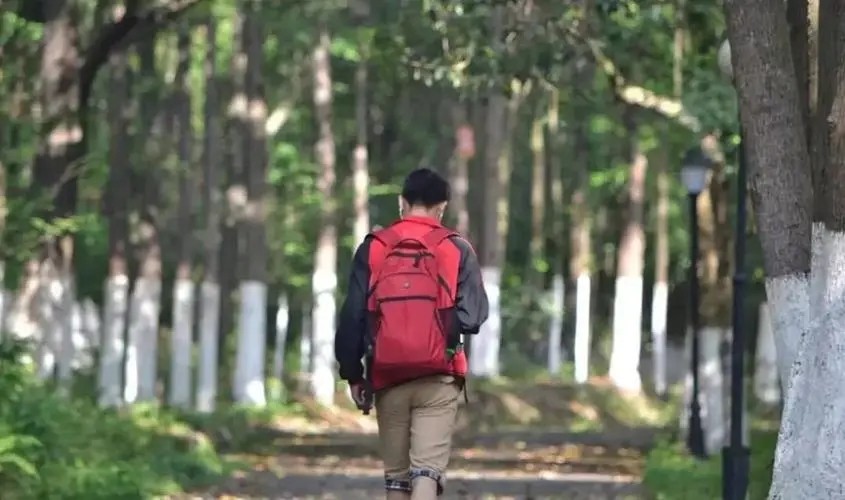 高三冲刺一百天，利用好早上的时间，全面提高各科分数