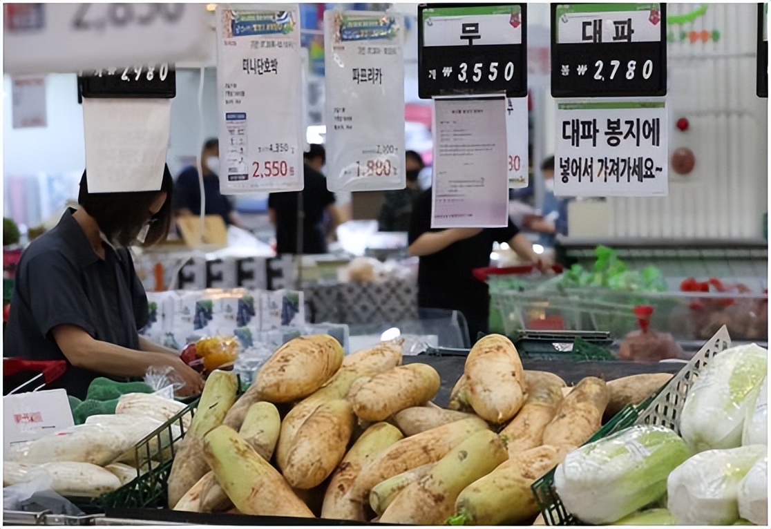 韩国今日萝卜价格（韩国萝卜价格最新行情）