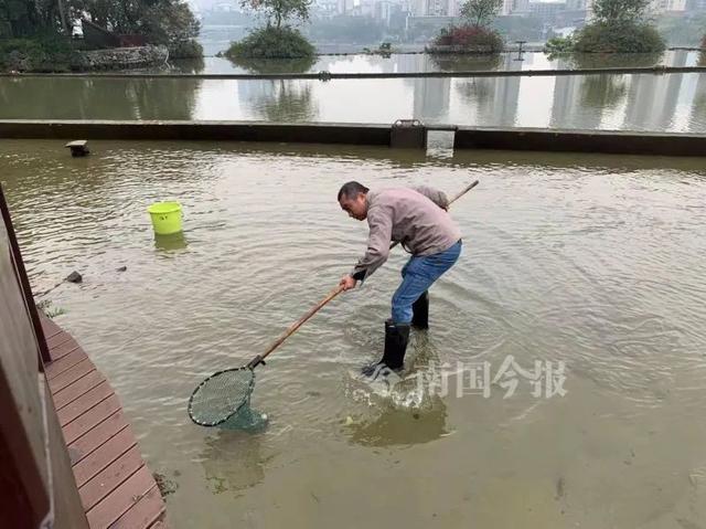 柳州公园惊现红色汽车发动机吞噬事件，疑为恶作剧还是真实事故？