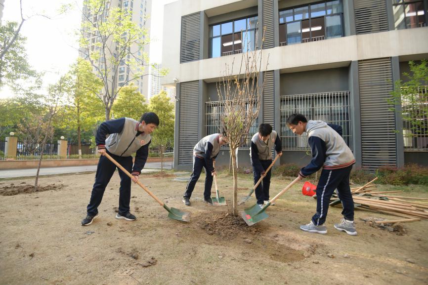 武汉市实验学校“护树节”为绿保驾护航(图3)