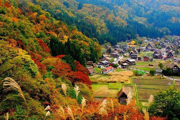 日本一奇葩悲惨景点，内部景色优美却是自杀胜地，人数高达上百人