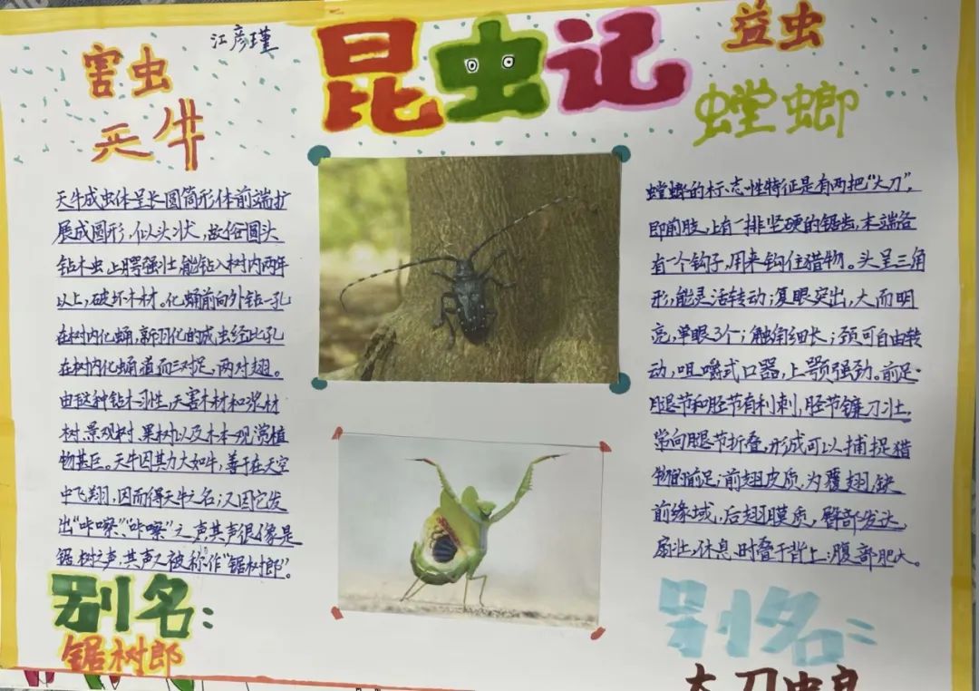 兰花喜阅读 书香润童年｜走进实验小学外国语学校书香班级3.1班