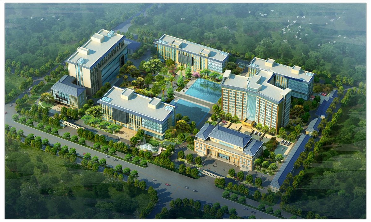 党建领航 推动医院高质量发展——安岳县中医医院党建工作纪实