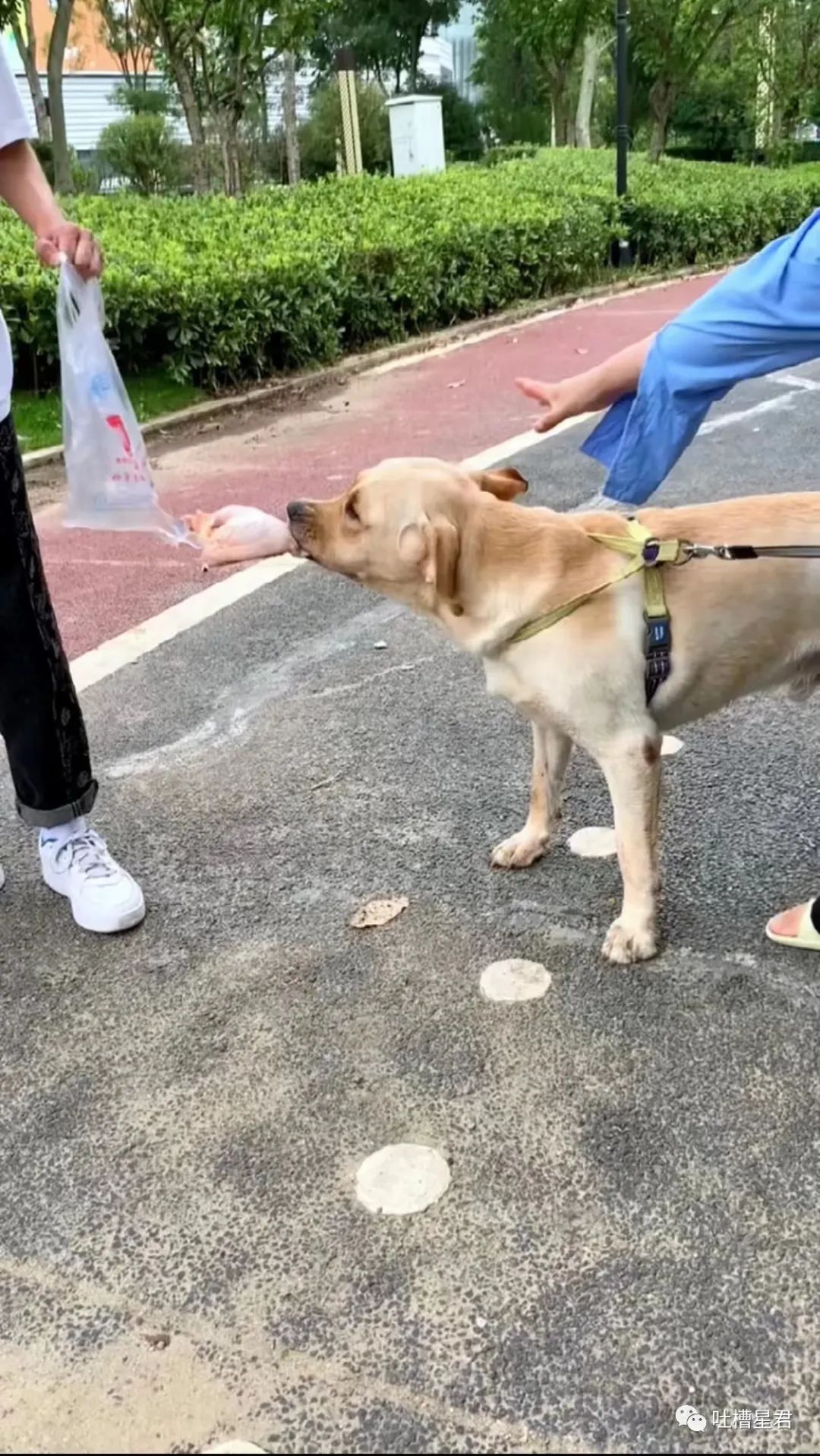 周杰伦新专辑为了显瘦有多心机？郎朗：我没惹你们任何人.