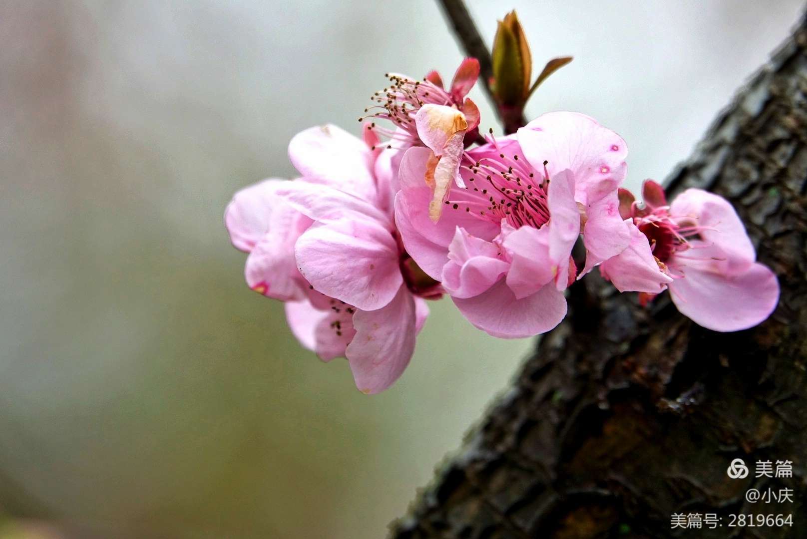 人生若顺境，愿你内敛锋芒；人生若逆境，愿你淡然处之