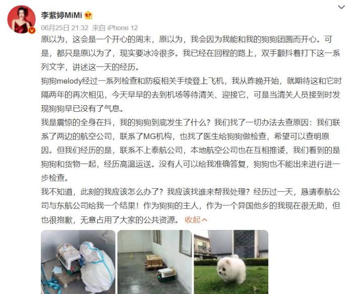 李紫婷工作室公开爱犬去世经过 手续