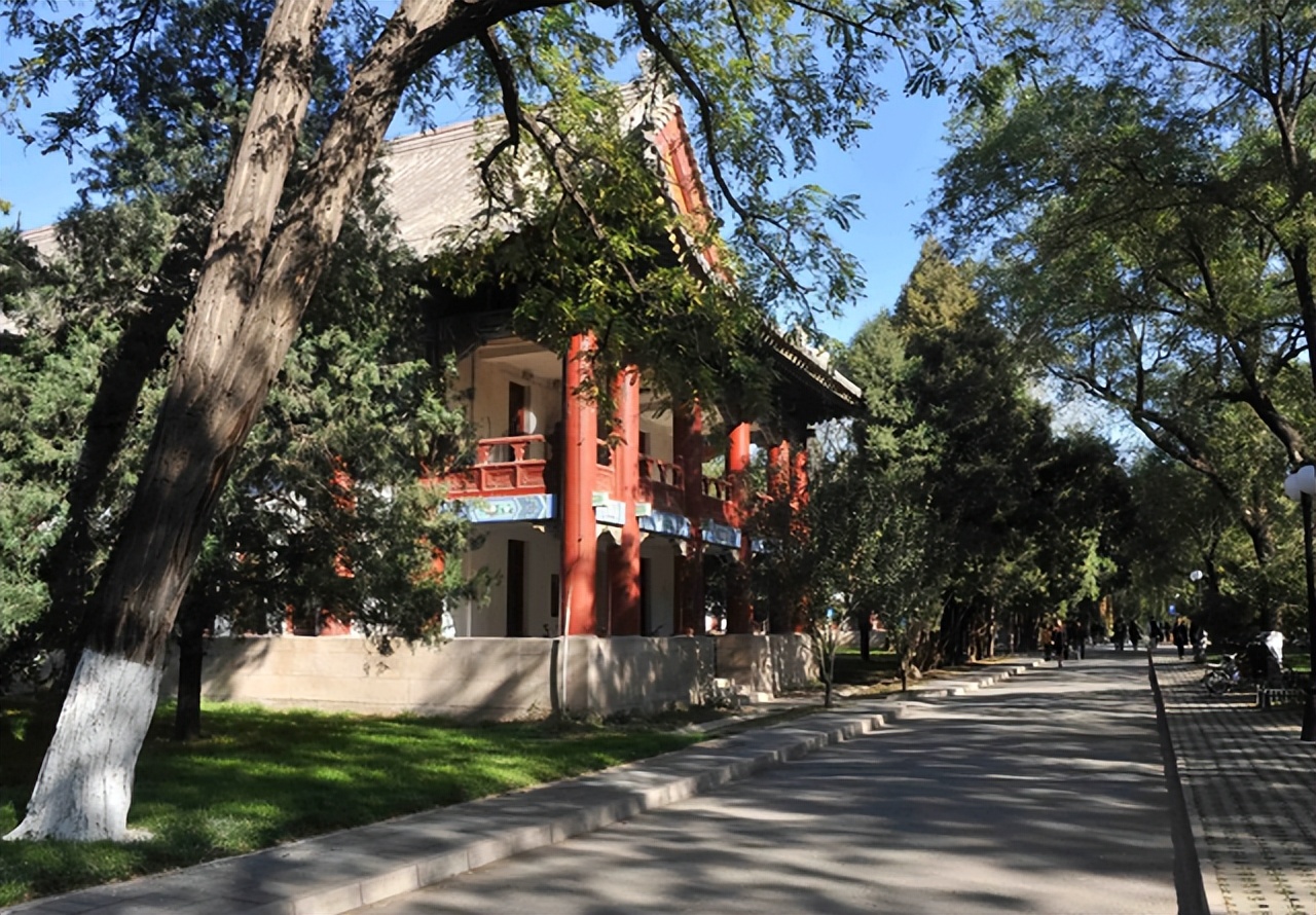 “专科生”考研逆袭进北大，本是一部励志史，评论区却醋海翻腾