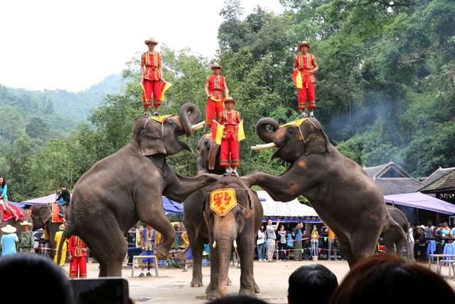 西双版纳介绍(西双版纳旅游景点——游遍中国)