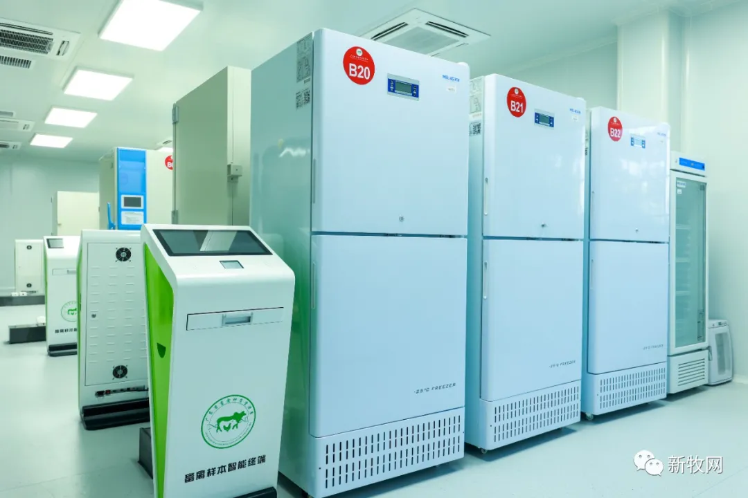 再也不用担心广东土猪土鸡会灭种了！投资5000万元的广东省畜禽种质资源库建成投入运行