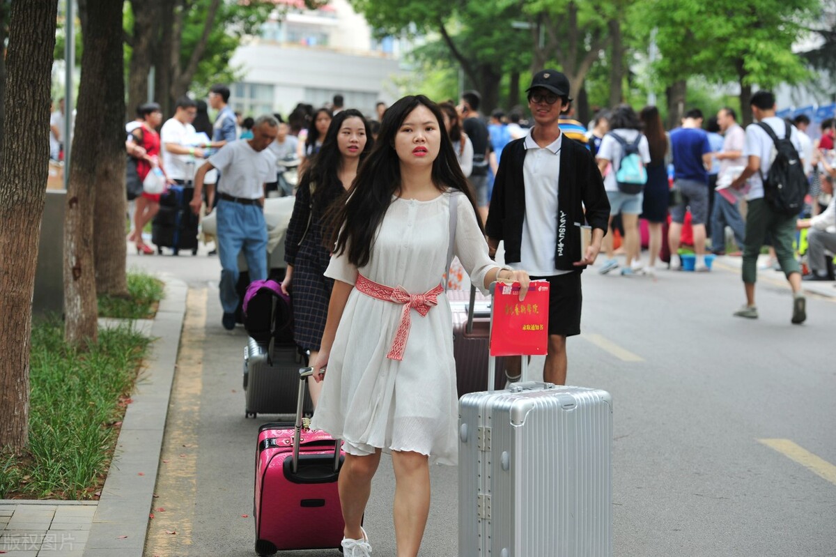 南京艺术学院2022年统考和校考招生专业、录取原则及文化控制线