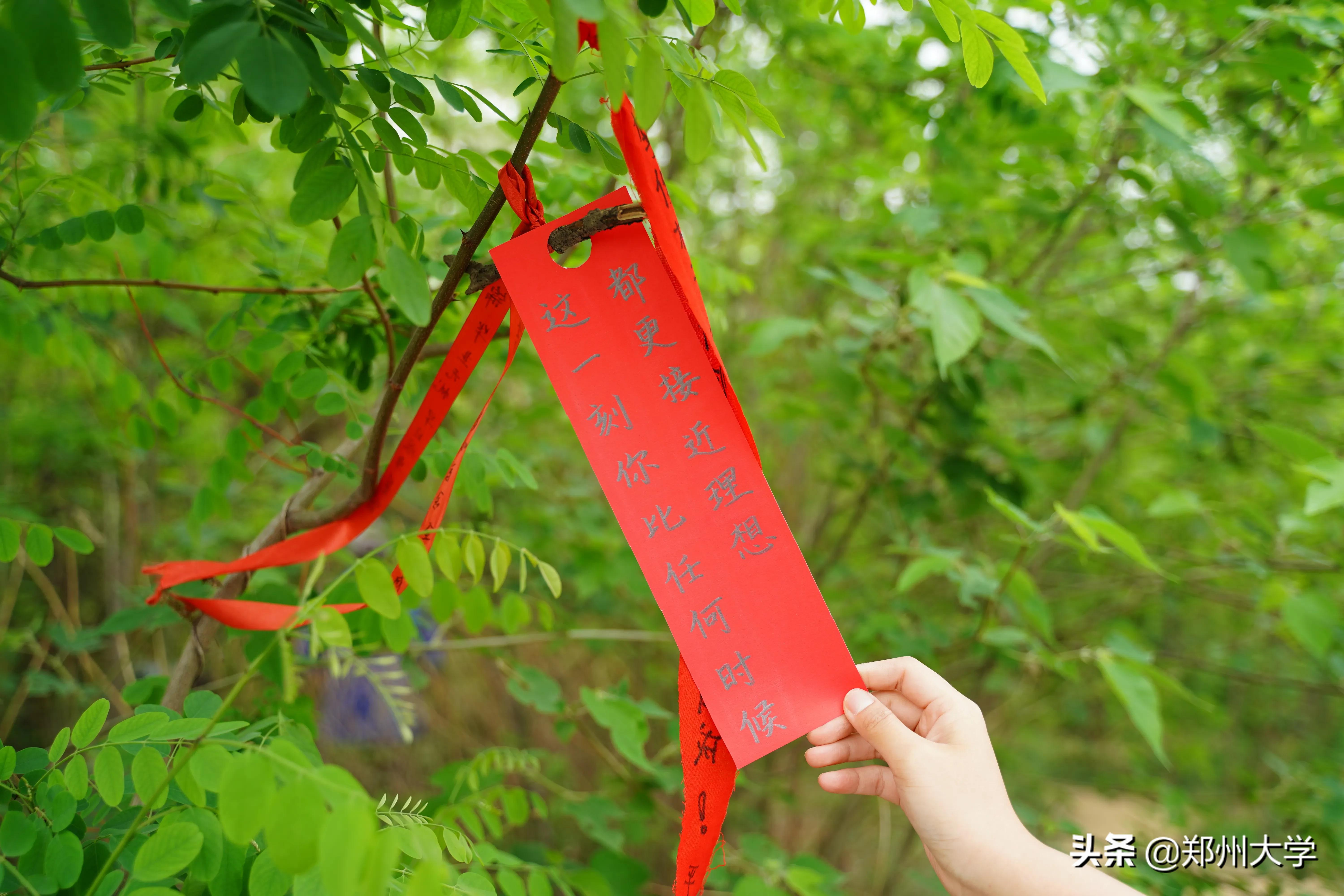 高考倒计时50天！请收下来自郑大厚山的祝福！